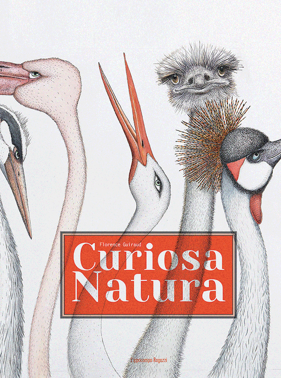 finalista premio andersen 2018 curiosa natura