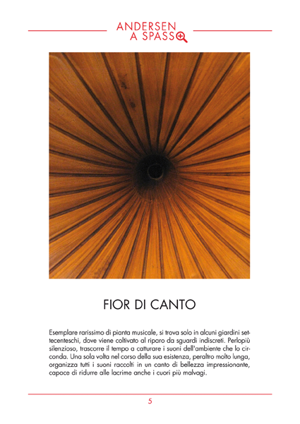 05_fiordicanto_d