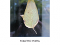 03_folletto_d