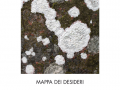 15_mappadesideri_d