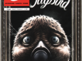 Jaybird, di Lauri & Jaakko Ahonen, “Super G” (San Paolo), anno 2, numero 5, maggio 2014