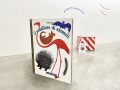 libri-45_11