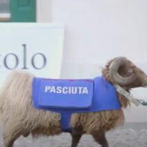 Alla ricerca delle parole smarrite: un documentario sul progetto di Sabrina D’Alessandro