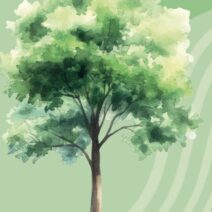 Il gran finale “Verde premura”