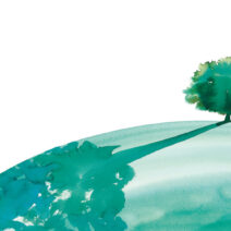 Proteggere, ripristinare e favorire un uso sostenibile dell&rsquo;ecosistema terrestre